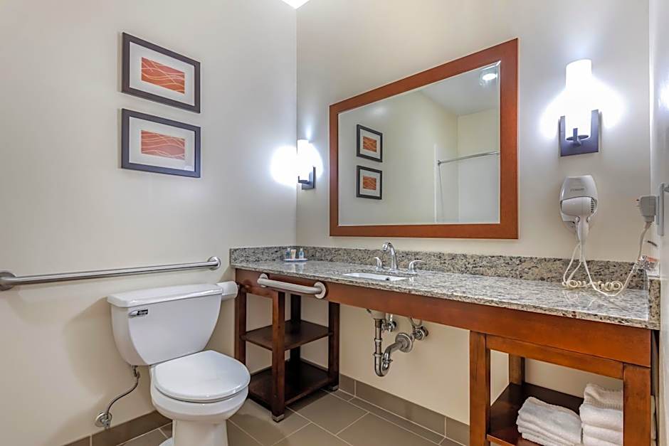 Comfort Inn Apalachin / Binghamton W Route 17