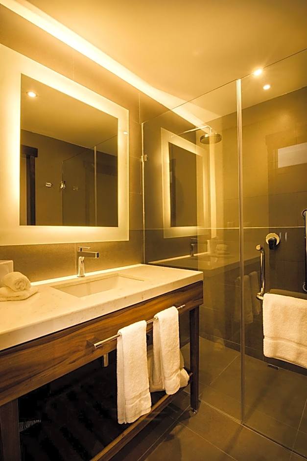 Hilton Garden Inn Aguascalientes