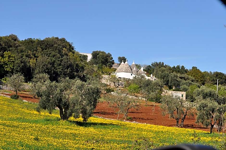 Hotel La Vetta Europa