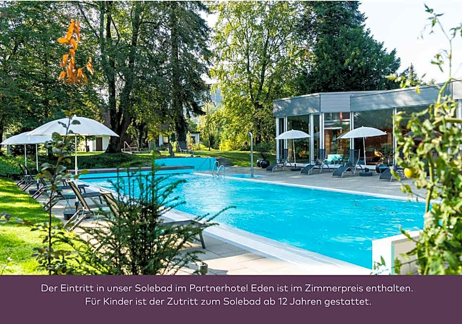 Hotel Schiff am Rhein