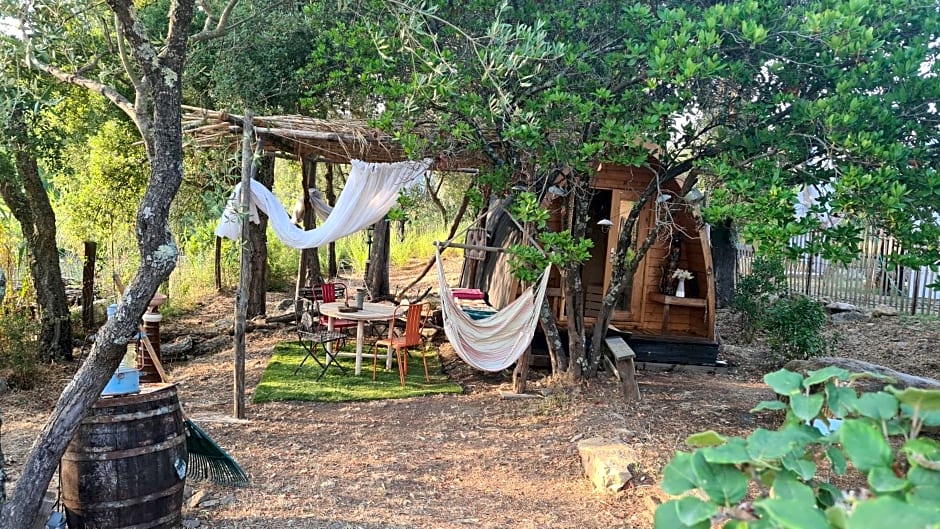 Gîte atypique Le Pod au coeur du maquis