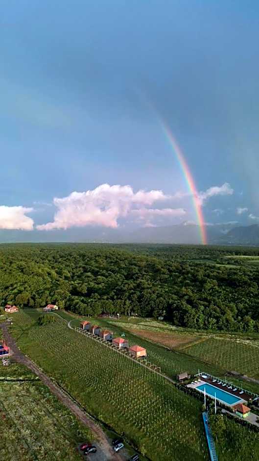 Chateau Vartsikhe
