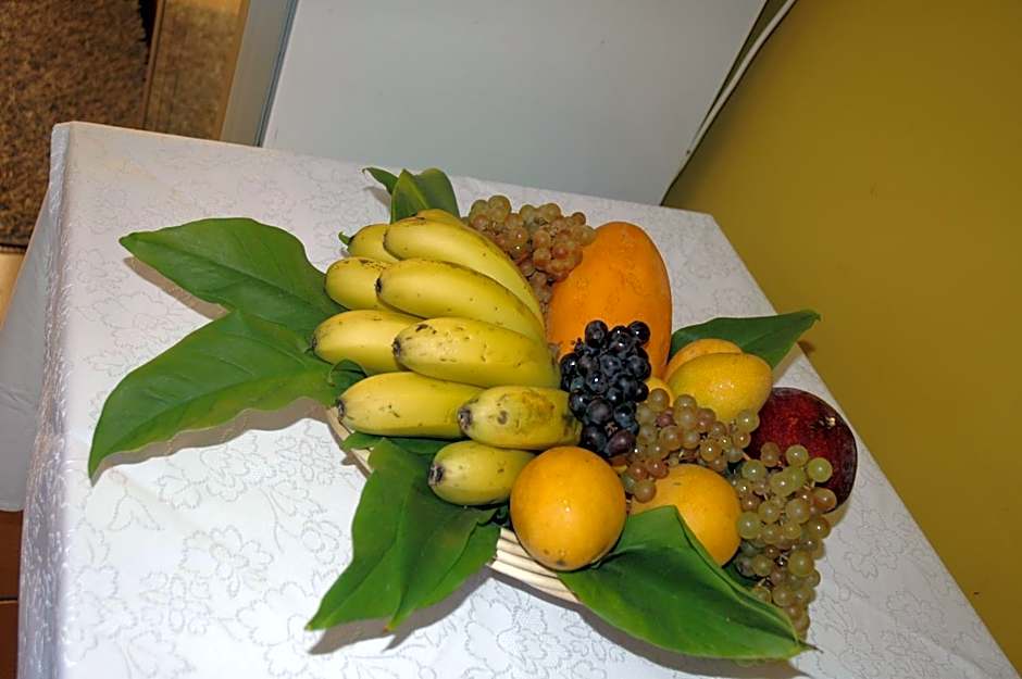 Hotel Jardín Concha