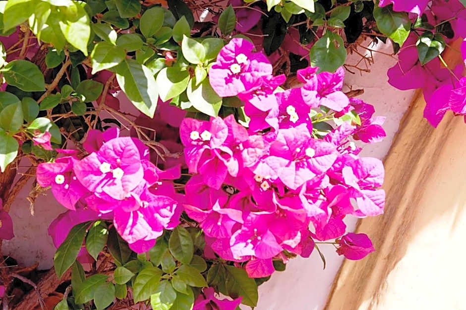 Globales Pueblo Andaluz