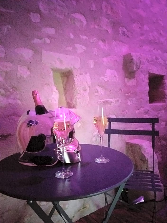 La BerryCurienne proche du Zoo de Beauval Saint-Aignan avec SDB, WC ET SPA PRIVATIF pour chaque chambre