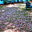 Red Fern Plantation Lodge