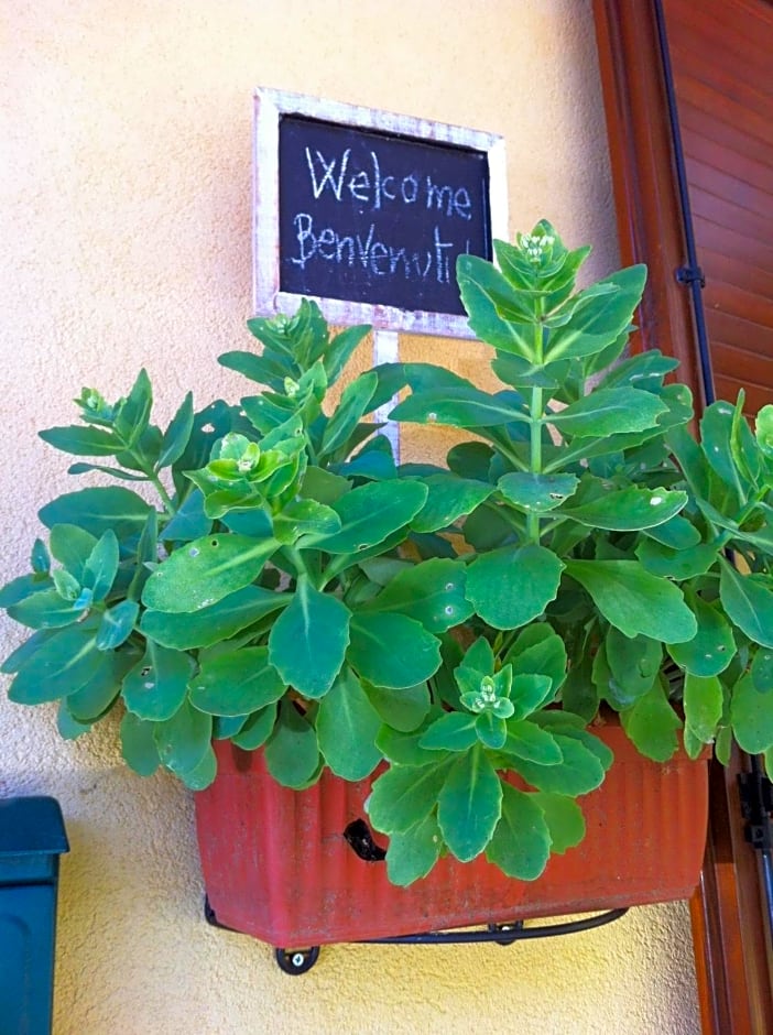 B&B Il Portico del Conte