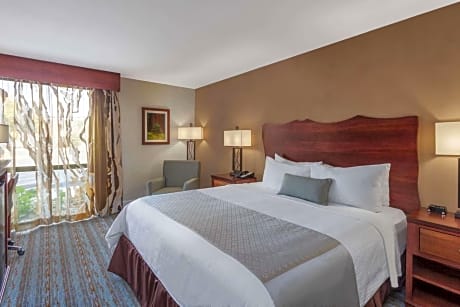 King Room - Mobility Access/Non-Smoking