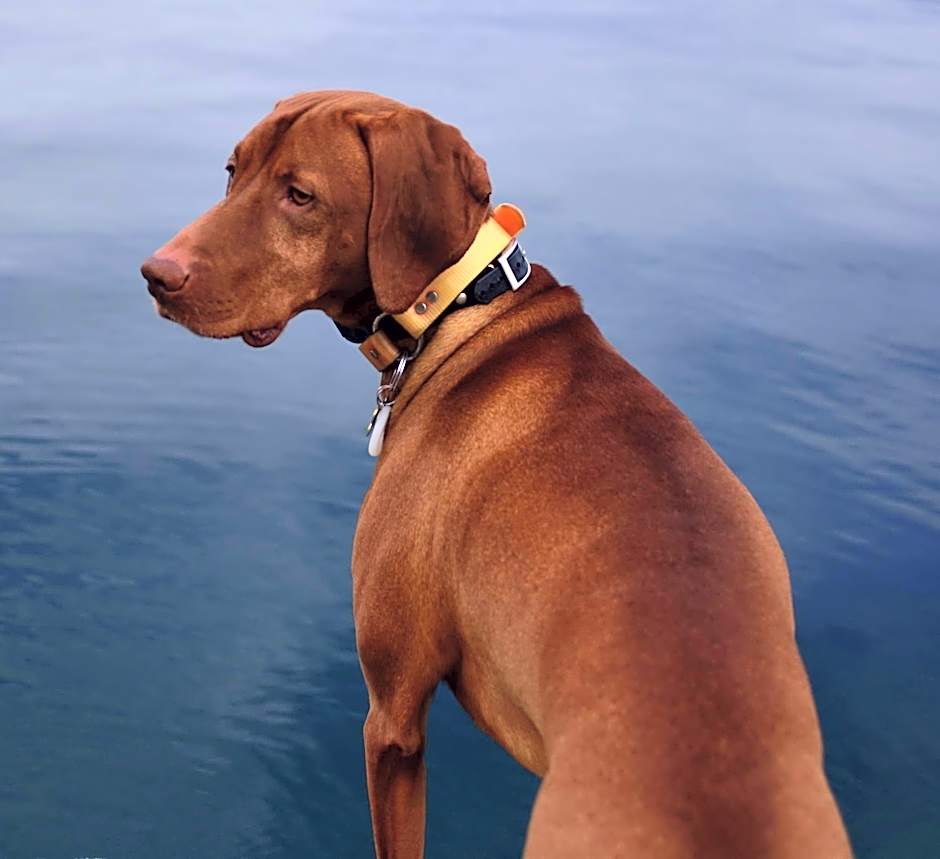 The Rockwell-Harrison Guest Lodge