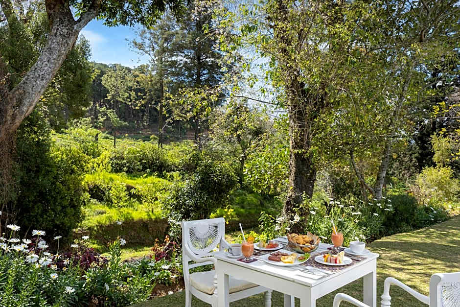 Scottish Planter Bungalow- Thema Collection