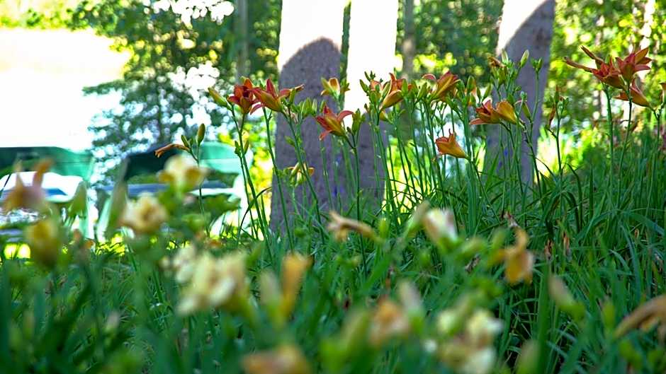 Pike's Waterfront Lodge