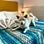 Hotel Crystal NUOVA GESTIONE 2025