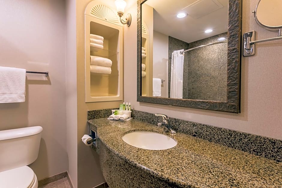 Holiday Inn Express Hotel & Suites Manteca By IHG