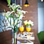 Royal Ariston Hotel