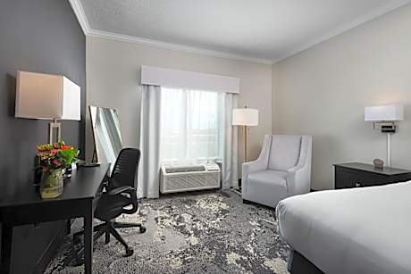 Standard King Single Room