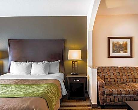 1 King Bed, Suite, Nonsmoking