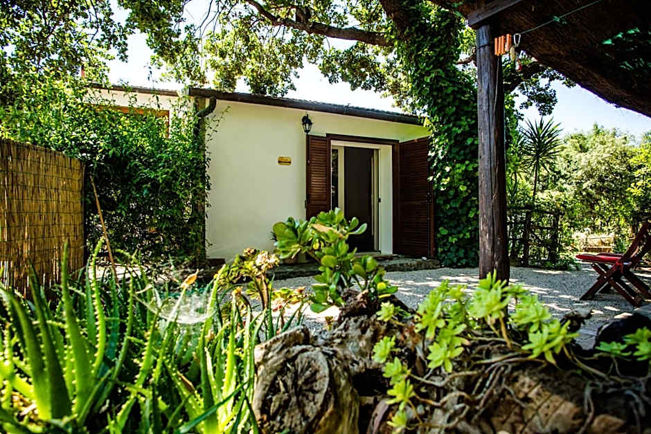 Agriturismo Serignano alle Rocchette