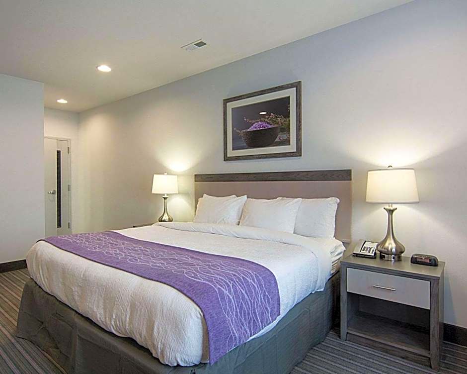 Comfort Inn Williamsburg Gateway