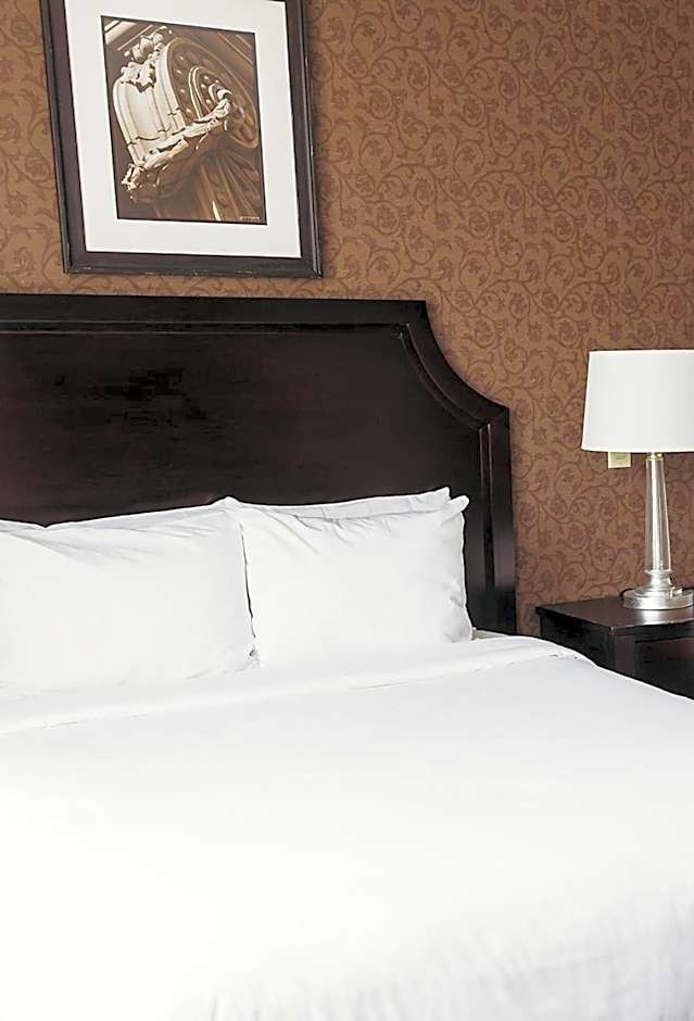 1 Queen Bed — 5 fotoğraftan 1. fotoğraf