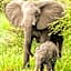 Elandela Private Game Reserve and Luxury Lodges Pty Ltd