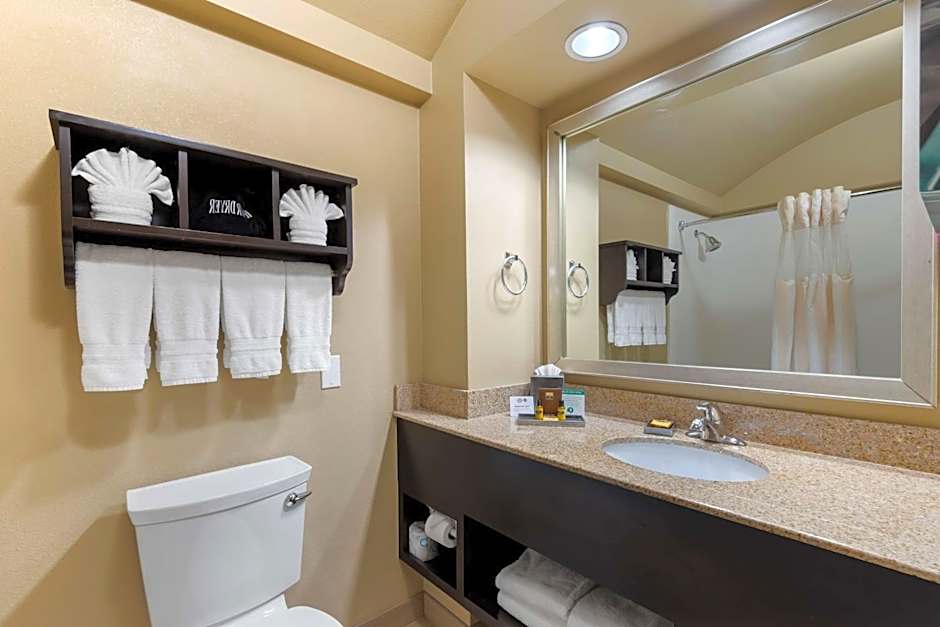 Best Western Plus Arlington North Hotel & Suites
