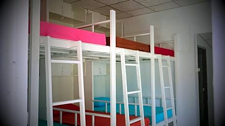 Single Bed in Mixed Dormitory Room