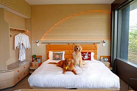King Suite with Terrace Access - Dog-Friendly