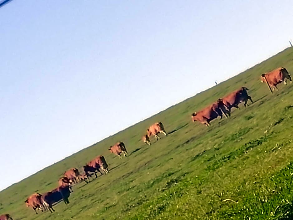 MAISON MAUPAS Chambre Rouge