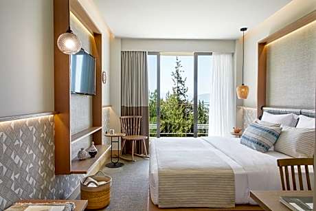 Deluxe Room with Garden View