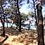 Youth Hostel Pinesta