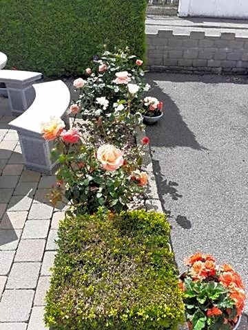 Jordan's Drum Haven B&B, Knock