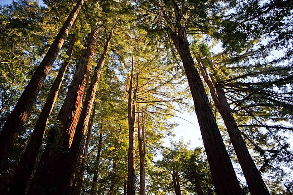 Alila Ventana Big Sur - Inclusive Resort