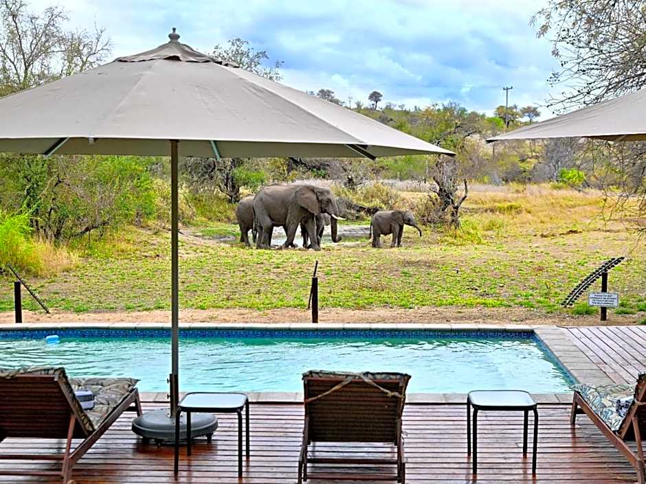 Zazu Private Bush Lodge