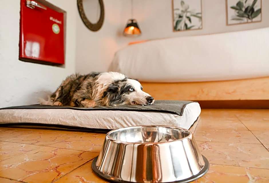 Petit Mesón (Pet Friendly Hotel)