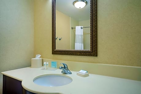 2 Queens Mobility Access W/Tub Nonsmoking