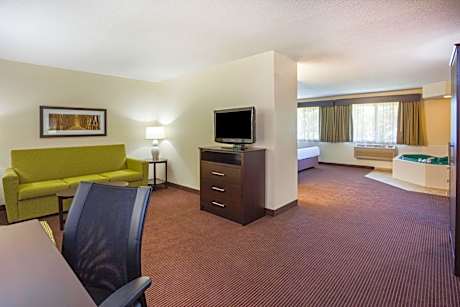 Premier King Suite - Non-Smoking