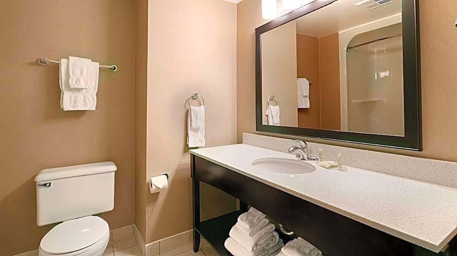 Best Western Swan Castle Inn