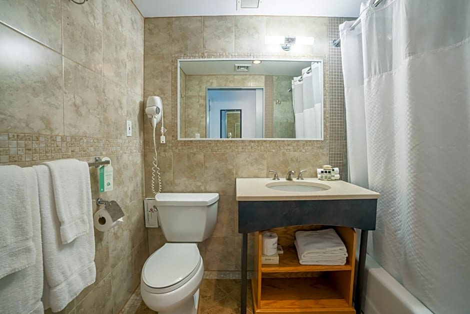 Hotel Mulberry