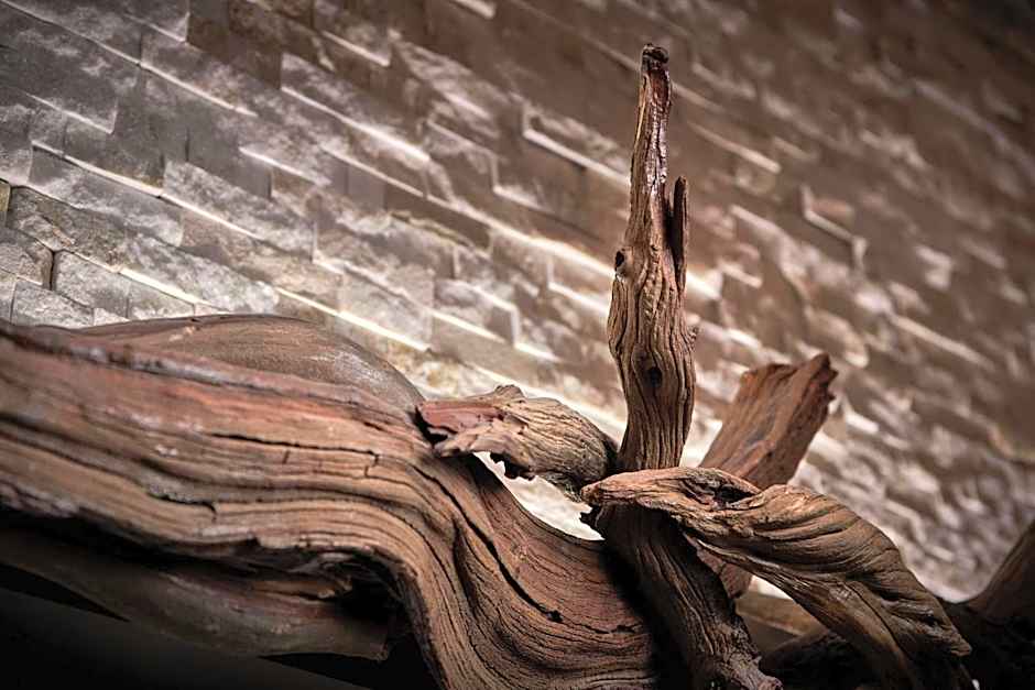 Charleston Kiawah Island/Andell Inn by Marriott