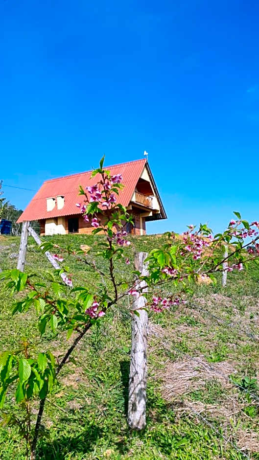 Chalé das Margaridas