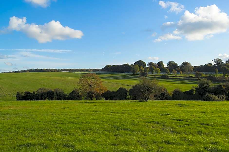 Holiday Inn Express London - Epsom Downs By IHG