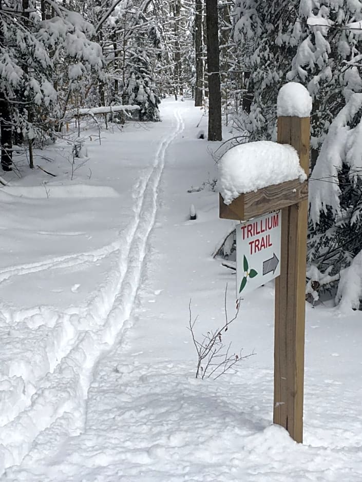 Robert Frost Mountain Cabins