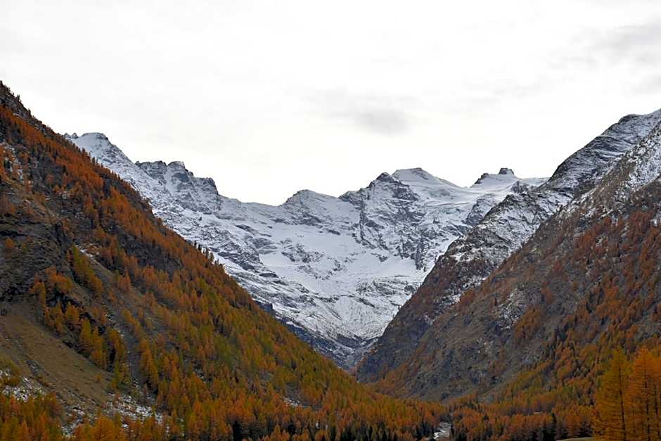Hotel Petit Dahu - Chambres et Restaurant
