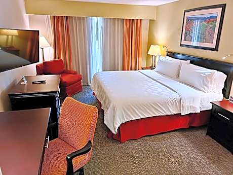 1 King Premium Lounge Access