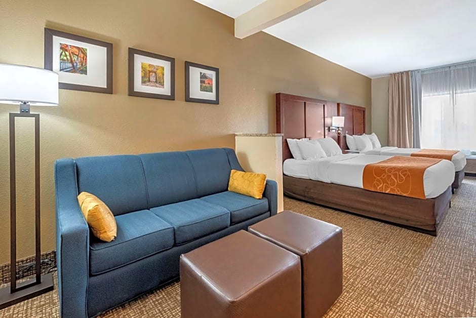 Comfort Suites Auburn near I-69