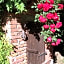 Il Poggiolo Delle Rose Bed&Breakfast