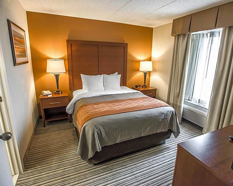 Comfort Inn At The Park