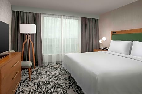 3 Room President Suite 1 King 2 Queen 2 Bath Whirlpool-table For 8-plasma Tv-sofabed-micro Comp Cook