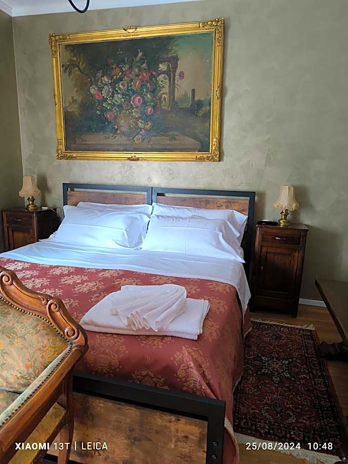 Le piante di casa SaMar