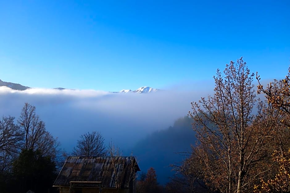 Gite d'Aliège
